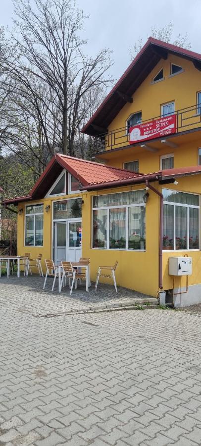 Pensiune Restaurant Sfinx 부스테니 외부 사진